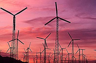 6月11日《金辉恋曲四重奏》于PC平台（steam）发布官中版